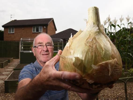 David Stothard with his huge onion.