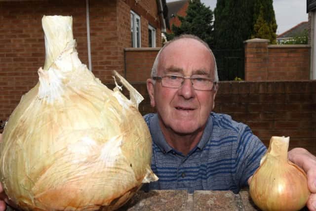 The monster onion David has grown in his Balby garden.