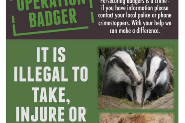 Operation Badger poster