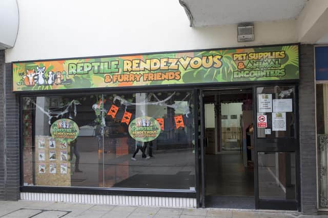Reptile Rendezvous in Doncaster