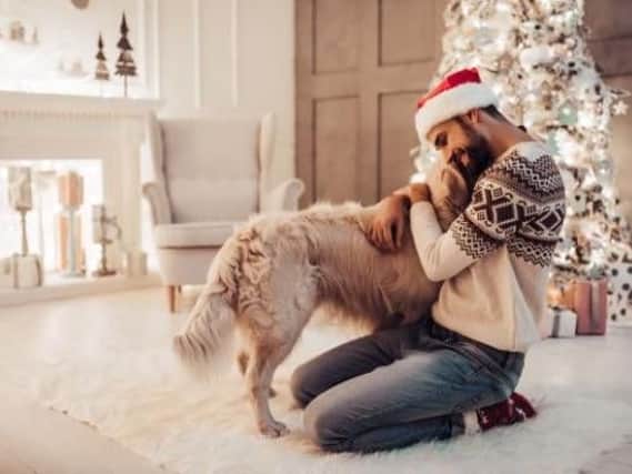 Treat your dog this Christmas