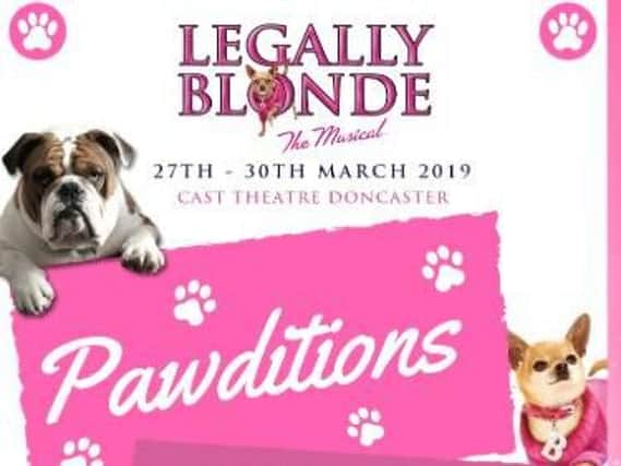 Legally Blonde dog auditions poster.
