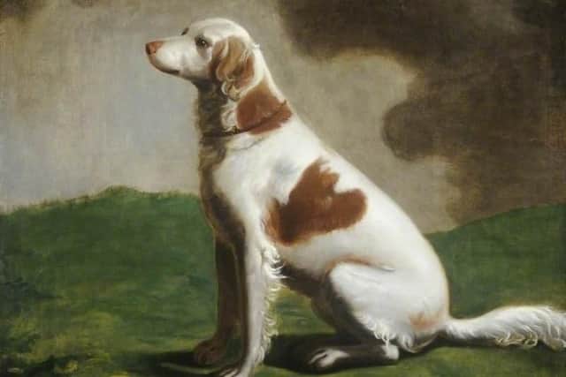 Haugh, George; 'Rover', the Duke of Kingston's Favourite Setting Dog