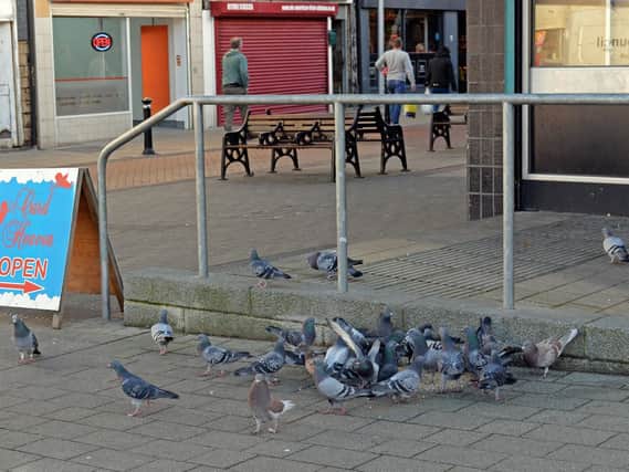 Pigeons on Mexborough High Street. Picture: Marie Caley NDFP-08-01-19-PigeonsMexborough-2