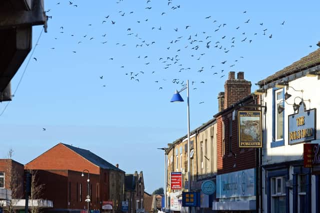 Pigeons on Mexborough High Street. Picture: Marie Caley NDFP-08-01-19-PigeonsMexborough-1
