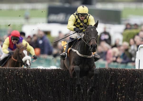 Al Boum Photo, ridden by Paul Townend and trained by Willie Mullins, jumps the last to seal his Magners Cheltenham Gold Cup triumph (PHOTO BY: Alan Crowhurst/Getty Images).