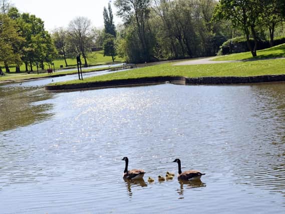 Sandall Park, Doncaster. Picture: Marie Caley