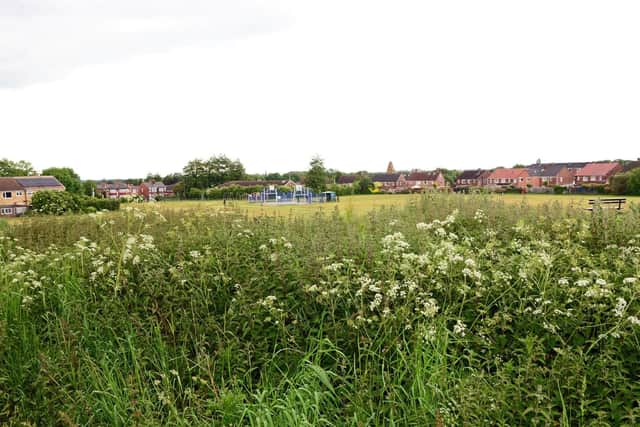 Barnsley Road Playing Field, Scawsby. Picture: Marie Caley NDFP-28-05-19-BarnsleyRdPlayingField-5