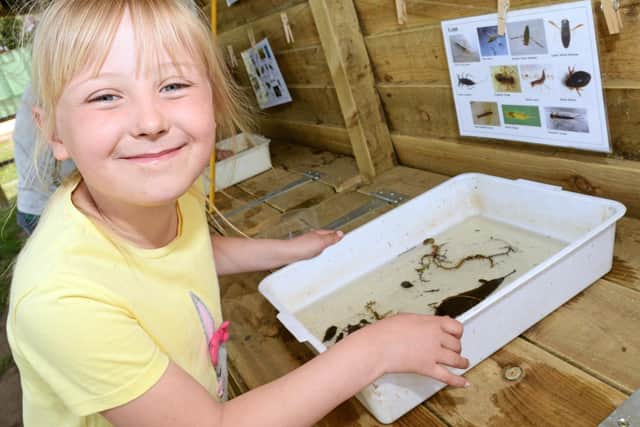 Lucy, takes a closer look at whats been discovered during Pond dipping. Picture: Marie Caley NDFP-23-04-19-Austerfield-2