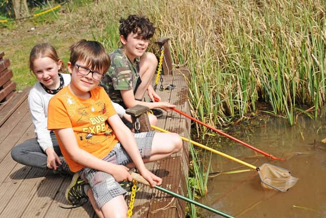 Milly, Eddie and Joe, pictured Pond Dipping. Picture: Marie Caley NDFP-23-04-19-Austerfield-6