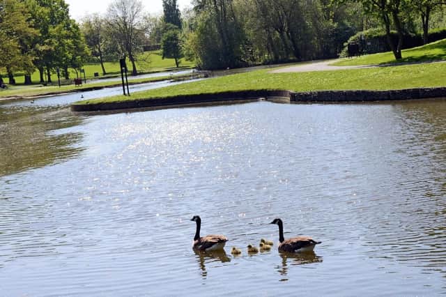 Sandall Park in Doncaster. Picture: Marie Caley