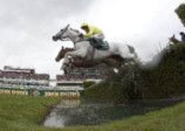 MIGHTY LEAP -- Neptune Collonges on his way to winning last year's Grand National.