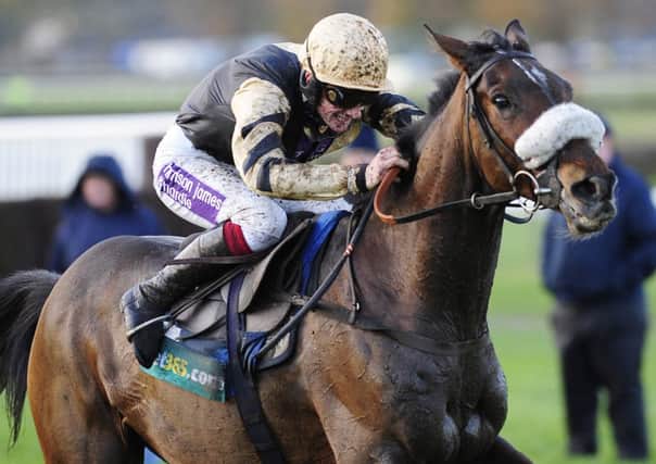 BAY WATCH -- old favourite Tidal Bay, who heads the weights for the 2014 Crabbie's Grand National (PHOTO BY: John Giles/PA Wire).