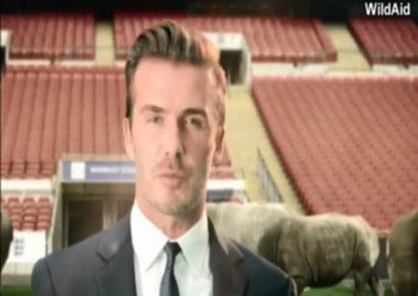 PRINCE WILLIAM AND DAVID BECKHAM TEAM UP FOR WILDAID