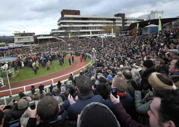 FESTIVAL FEVER -- the crowds at Cheltenham welcome HURRICANE FLY back to the winner's enclosure after he had won last year's Champion Hurdle (PHOTO BY: Tim Ireland/PA Wire)