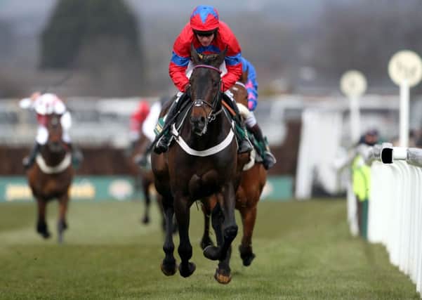 ABSENT FRIEND -- the reigning champion chaser SPRINTER SACRE will be sadly missed at thr 2014 Festival after a heart scare (PHOTO BY: David Davies/PA Wire)