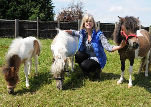 Wendy Senior, of Oakley Stables, Crowle, is unhappy about the costs North Lincolnshire Council are proposing for building arenas at the stables. Picture: Andrew Roe