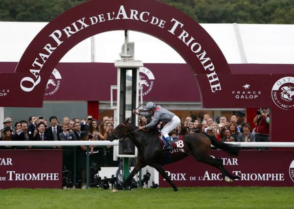 TREVE wins last year's Qatar Prix de l'Arc de Triomphe at Longchamp. Can she do it again today? (PHOTO BY: Francois Mori)