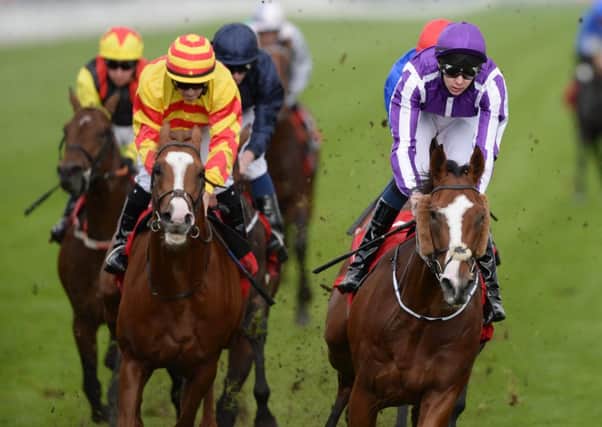 CHECK out today's Tip Of The Day (PHOTO BY: John Giles/PA Wire)