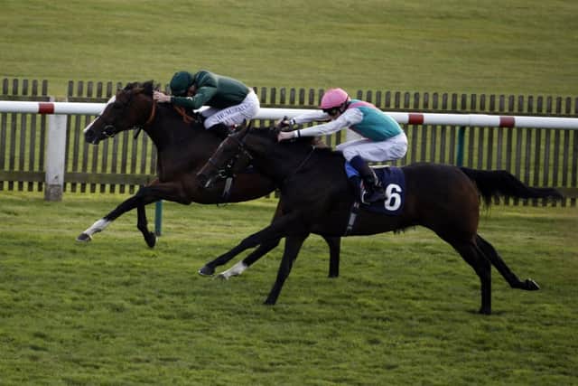 TWO TO FOLLOW -- Lady Correspondent (6) collars Alfajer in a warm maiden at Newmarket's Cambridgeshire meeting. Both fillies feature in Richard Silverwood's list. (PHOTO BY: Steve Parsons/PA Wire).