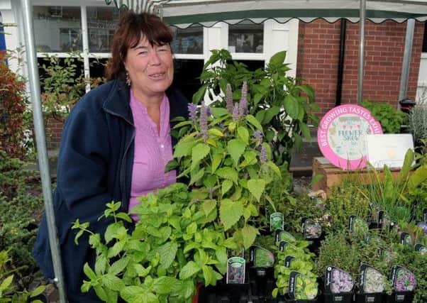 Food fair pictures in Epworth Market place - Barbara Adair with her 'Stonecrop Nurseries' stand, of Epworth & East Lound