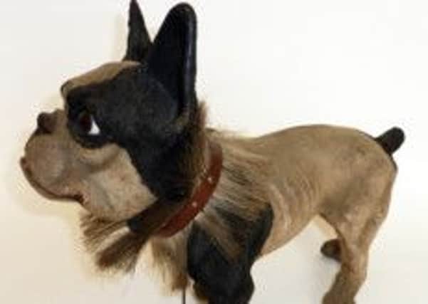 YP Magazine captioned: Home Shopping Jan 4 Maison Dog
antique and vintage dog collectibles