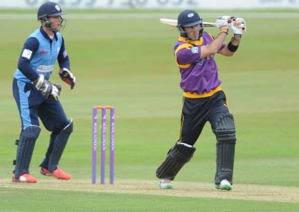 Glenn Maxwell. Picture: Steve Riding.