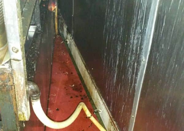 Asian spice in Sandringham Road, Intake was closed by Doncaster council on August 18 for two days due to a mice infestation.