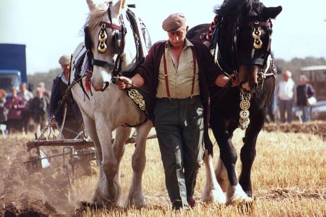 A flashback to the Festival of the Plough in years gone by.