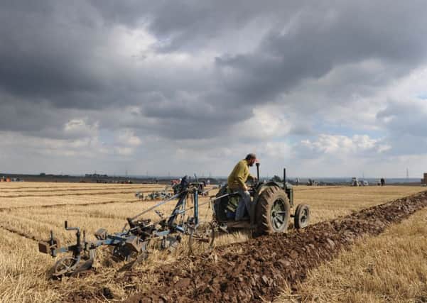 Festival of the Plough 2015 at High Burnham near Epworth. Action from the tractor ploughing classes.