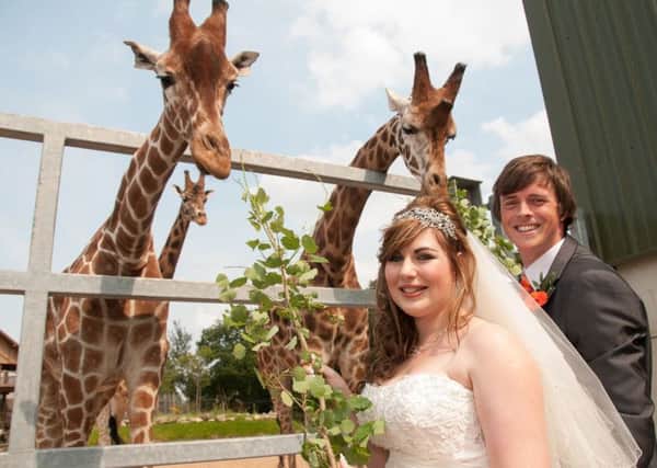 Weddings at Yorkshire Wildlife Park