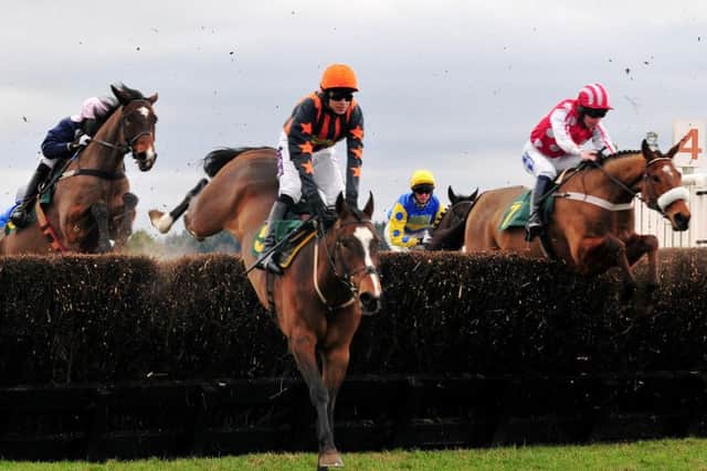 SMALL FRY -- Jumps racing continues to be plagued by small fields in the midwinter build-up to the Cheltenham Festival in March. (PHOTO BY: www.horseracingphoto.co.uk)
