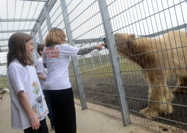 Photo courtesy Yorkshire Wildlife Park.
Release of Norm of the North film.