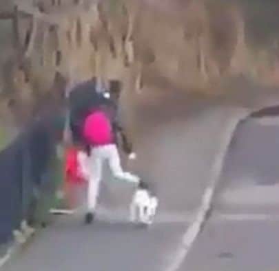 Mobile phone recording sees the woman hit the white dog which then lies helpless on the ground