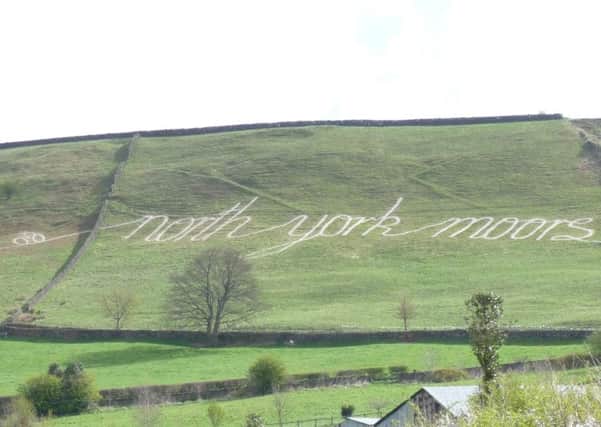 Land art as part of last year's Tour de Yorkshire cycle race.
