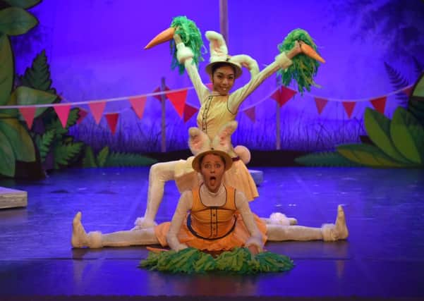 The Tortoise and the Hare by Northern Ballet