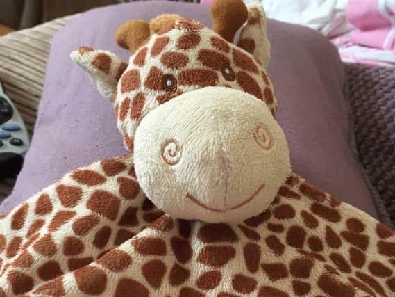 Can you help reunite Layla with cute and cuddly Jambo?