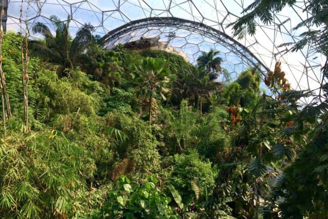 The Rainforest Biome at the Eden Project