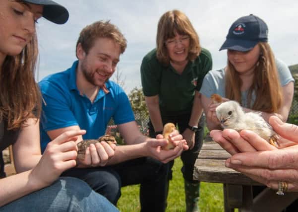 Chicken Keeping for Beginners held at Bank View Farm, Lane Head Road, Totley
Rachel Wall gives some advice on looking after the newly hatched chicks
Picture Dean Atkins