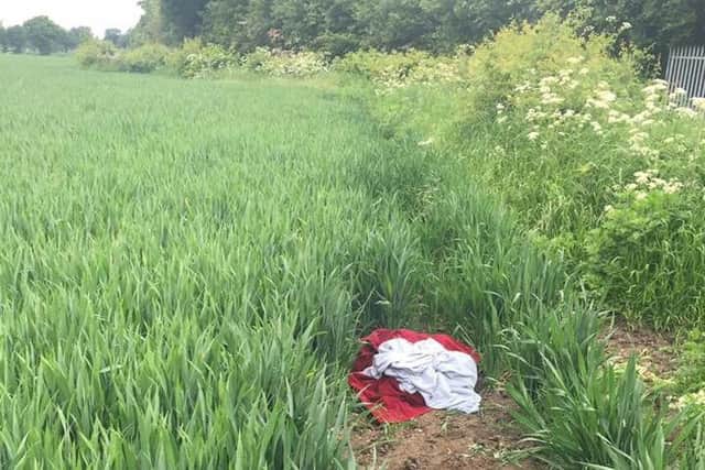 The male rough-haired lurcher was discovered wrapped in a red velvet curtain and blue towel