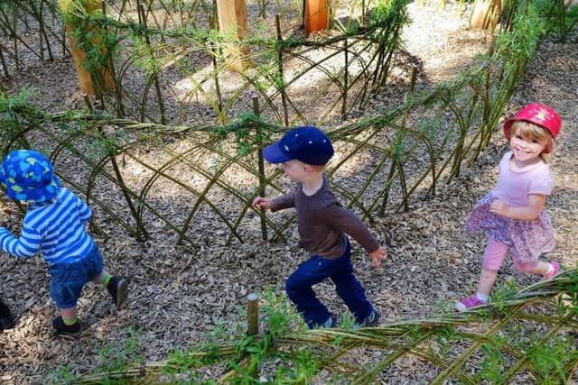 Dalby Forest is an ideal spot for youngsters to play and enjoy the great outdoors.