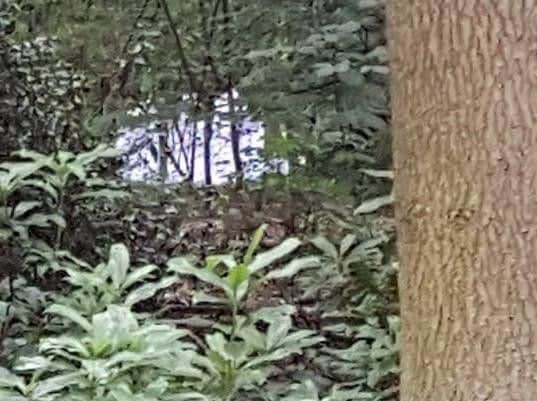 The white cloaked figures spotted chanting in Sandall Beat Woods.