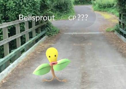 A Pokemon Go character at Potteric Carr Nature Reserve.