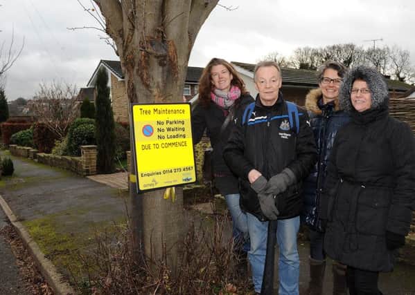 (l-r) Sarah Lagden, Dave Dilner, Karine Zbinden and Ann Anderson next to a tree on Devonshire Road, which was due to be felled. Picture: Andrew Roe
