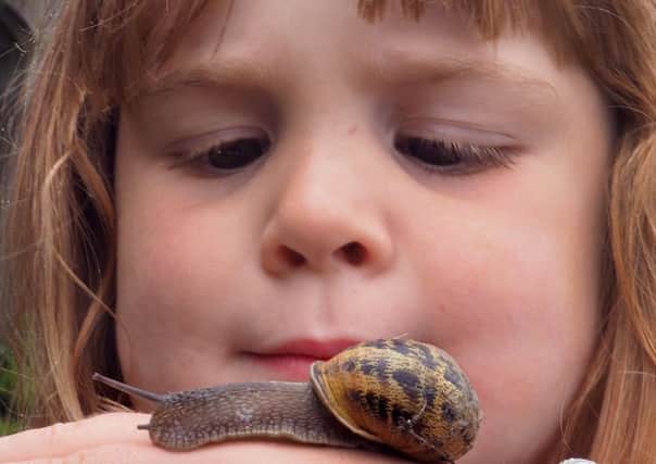 Felicity LeGros (4) keeps her eyes on a garden snail