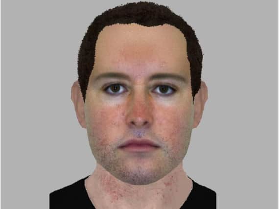 An E-fit of the man who exposed himself to two young girls.