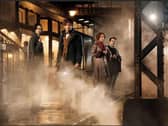 Fantastic Beasts and Where to Find Them.