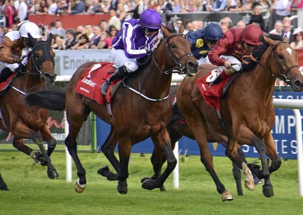 Racing at this year's St Leger Festival gets underway today