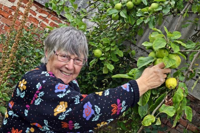Volunteer Jan Brackenbury, pictured in the Halls gardens. Picture: Marie Caley NDFP Gomde MC 4