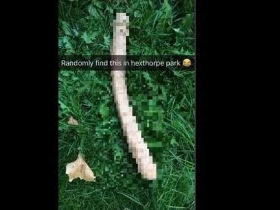 The sex toy found in Hexthorpe Flatts park by a Pokemon Go player. (Photo: Lewis Oxley).